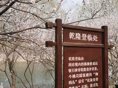-桃花堤公园