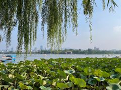 -济南大明湖景区