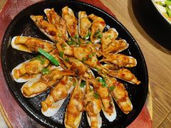 -鸽子窝(青塔店)