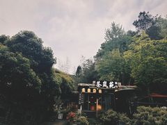 -龙井村