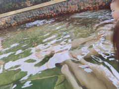 -天目湖涵田半山温泉