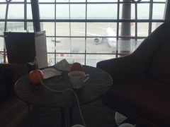 -首都机场t3-c国航两舱休息室