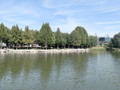 -大兴滨河森林公园