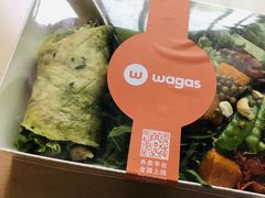 -Wagas沃歌斯(环贸店)