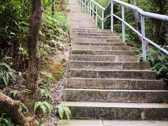 -野狸岛