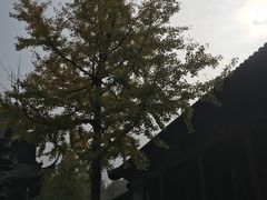 -钱王祠