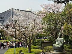 -浅草寺