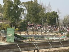 -上海野生动物园老虎餐厅