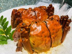 -蟹榭·本帮江浙菜·蟹宴(五角场合生汇商场店)