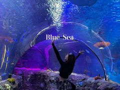 -沈阳海洋探索中心