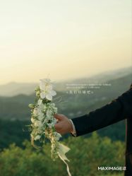 -大象映画旗舰店