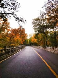 -YUEYAR PHOTO摄影