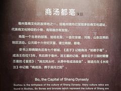 -亳州博物馆