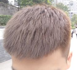 -青禾造型&刺青