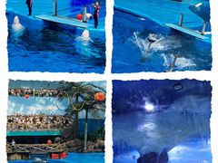 -成都浩海立方海洋公园