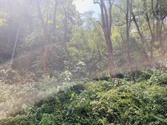 -常德桃花源景区