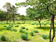 -承德避暑山庄景区