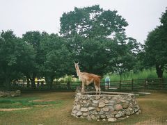 -西安秦岭野生动物园
