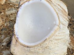 -东郊椰林