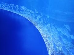 -哈尔滨波塞冬海底世界