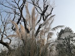 -广富林郊野公园