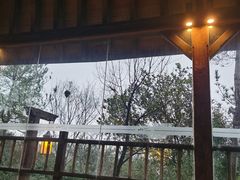 -天目湖涵田半山温泉