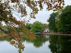 -上海共青森林公园