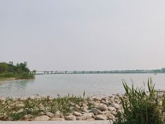-绿堤公园