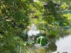 -绍兴鲁迅故里·沈园景区