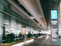 -厦门高崎国际机场-T3航站楼