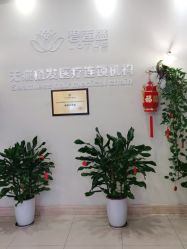 -碧莲盛·不剃发植发