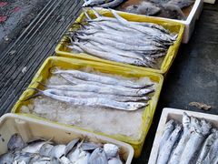 -芦潮港集贸市场