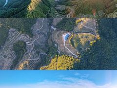 -天台国家森林公园水上茶乡九鹏溪