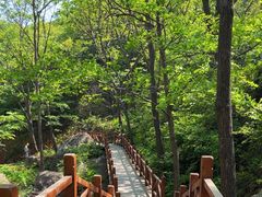 -大岭沟猕猴桃谷风景区