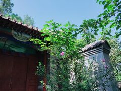 -阳台山自然风景区