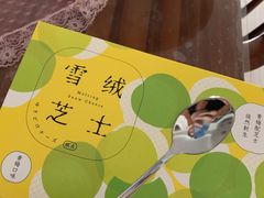 -蒲公英(五里店)