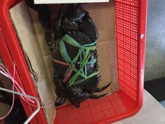 -龙海鲜螃蟹王(宏茂桥店)