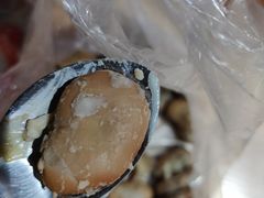 -洪湖里王姐大乌豆
