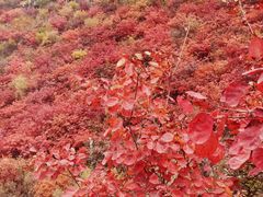 -狼牙山风景区