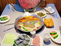 -渝大龙重庆火锅(温泉月亮湾店)