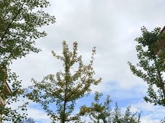 -德克士(宽甸店)