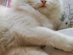 -美联众合24小时·皮肤科·外科·全科诊疗中心(华苑分院)