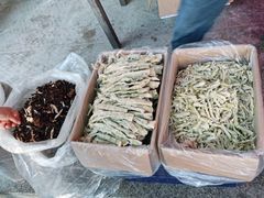 -长兴慧子土特产茶行