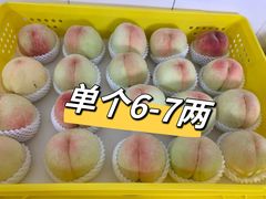 -老袁家蜜桃农场·阳山水蜜桃