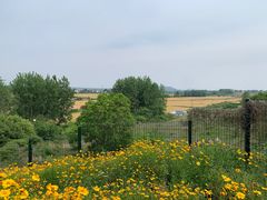 -六合国家地质公园桂子山景区
