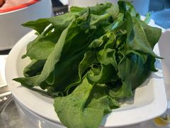 -龍歌自助小火锅(李沧顺和汇店)