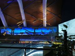 -贝林大翅鲸简餐厅(国家海洋博物馆店)