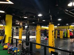 -天行健身＆天行拳馆跆拳道·格斗TXGYM