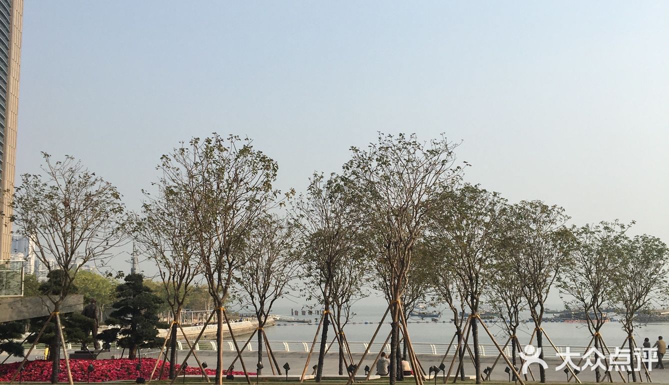 深圳蛇口｜离海最近的艺术馆～🏛