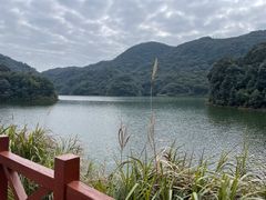 -广州市石门国家森林公园